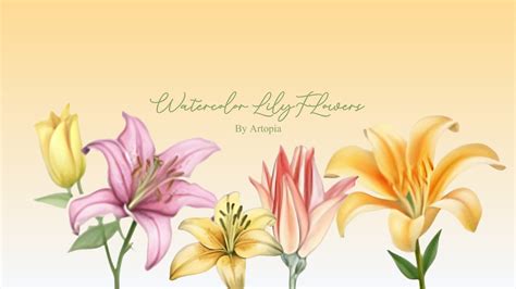 Watercolor Lily Flowers Clipart Png Images Colorful Lily Flowers Botanical Illustrations