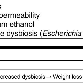 Association Between Gut Microbiome And NAFLD Patients With NAFL Can