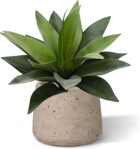 Agave Kunstplant 25cm In 10cm Pot Bol