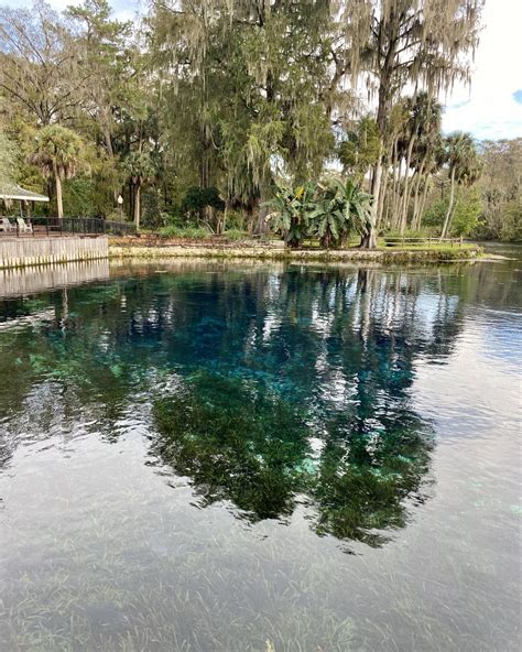 Silver Springs State Park - Florida Lives