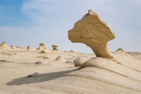 Al Wathba Fossil Dunes Abu Dhabi United Arab Emirates On Behance