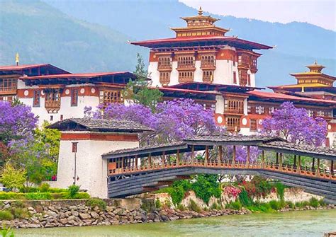 Punakha Dzong Bhutan History Photos Architecture