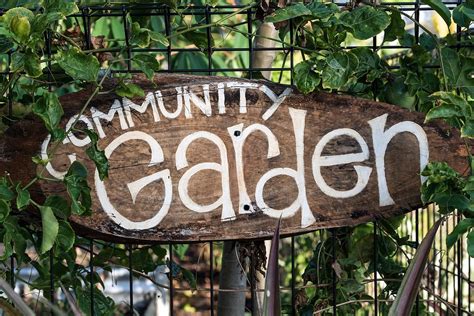 Mental Health Gardening How Gardening Can Improve Your Mental