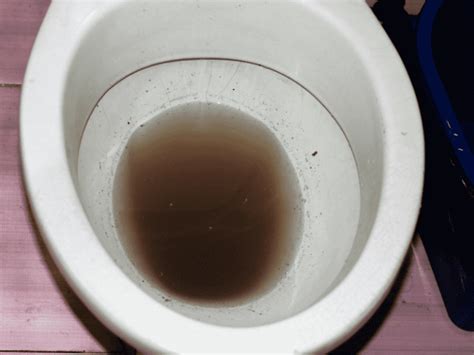 Why Is My Toilet Water Cloudy After Flushing Easy Fix Toolsowner