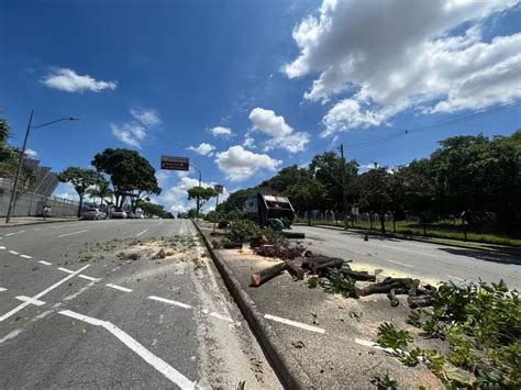 Prefeitura de Belo Horizonte inicia corte de árvores para sediar etapa