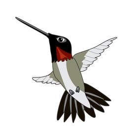 Hummingbird clipart vector free download