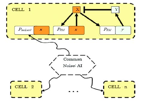 The schematic diagram of a gene regulatory network | Download ...