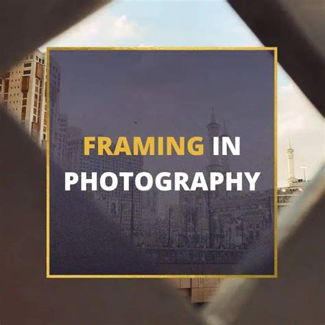 Framing In Photography 101: A Beginner's Guide (2024)