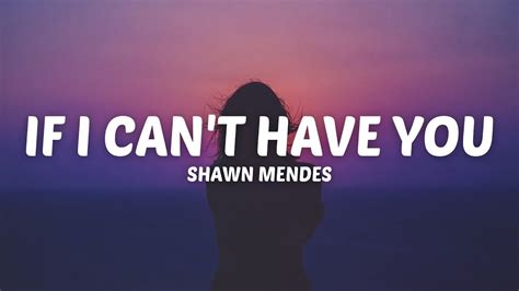 Shawn Mendes If I Cant Have You Lyrics Youtube