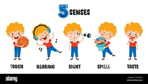 Five Senses Concept With Human Organs Stock Vector Image Art Alamy