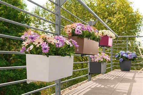 des jardinières pour balcon rectangulaires accrochées à l intérieur de