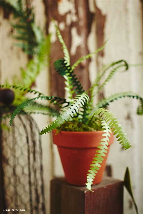 Potted Paper Fern Plants Paper Flowers Paper Plants Fern Plant