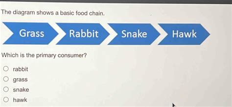 Solved: The diagram shows a basic food chain. Grass Rabbit Snake Hawk ...