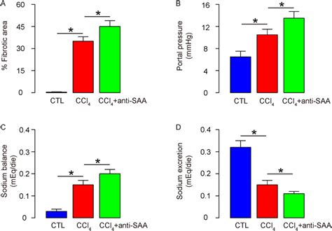 Suppression Of Saa Enhances Liver Fibrogenesis Induced By Ccl A