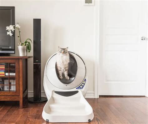 Litter Robot Automatische Selbstreinigende Katzentoilette Eu Robotshop