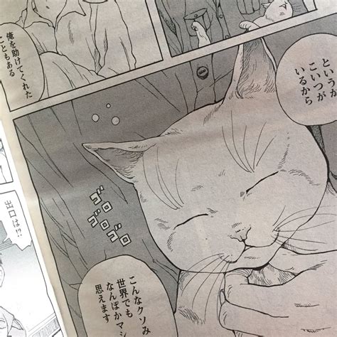 「本日発売の漫画アクションにて、「ウォーキングキャット」8話and9話が掲載されています ユキが遊んだり話が動いたりします。」北岡 朋「チボン