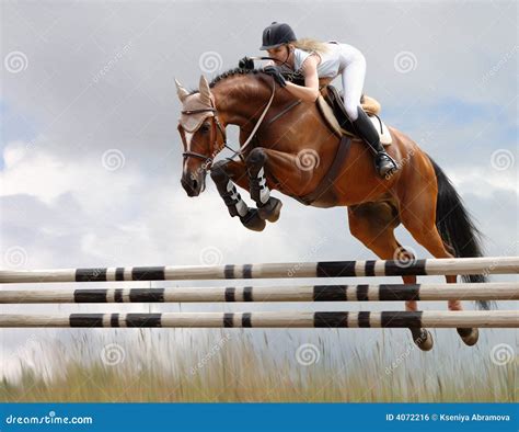 Equestrian - Horse Jumping Royalty Free Stock Image - Image: 4072216