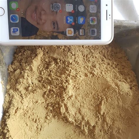 Ginger Powder Mai Hoa Phu Production Import Export Trading Company