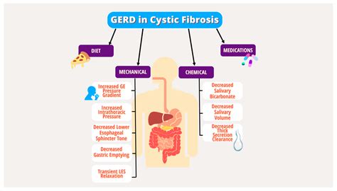 Ijms Free Full Text A Gastroenterologists Guide To Care