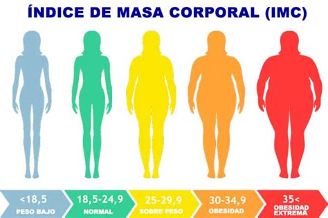 Obesidad Y Reproduccion Asistida Fiv Icsi Centro M Dico Manzanera