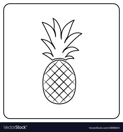 Pineapple Fruit Royalty Free Vector Image Vectorstock