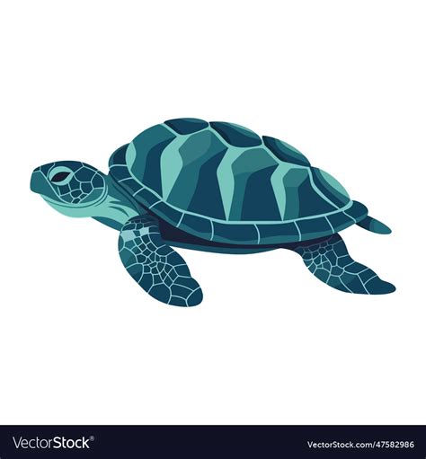 Cute turtle design Royalty Free Vector Image - VectorStock