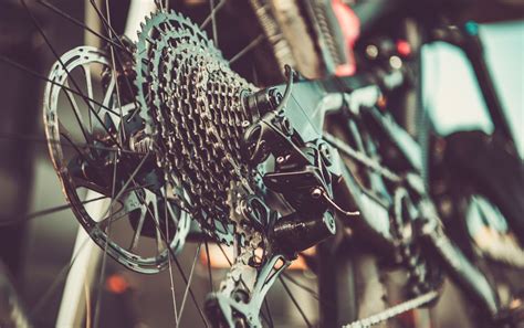 Road Bike Vs Mountain Bike Key Differences Explained