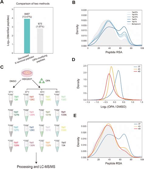 Protein Painting For Structural And Binding Site Analysis Via