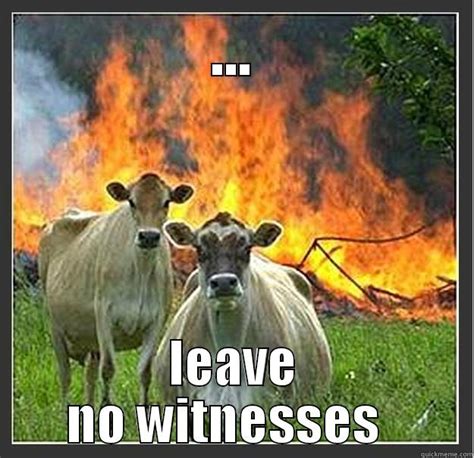 Evil cows memes | quickmeme