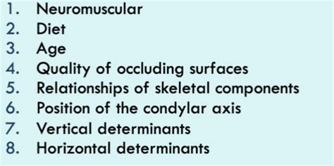 Occlusion 12 Determinants Of Occlusal Morphology Flashcards Quizlet