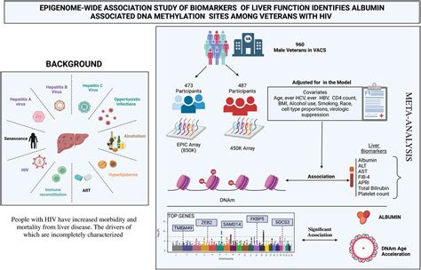 Frontiers Epigenome Wide Association Study Of Biomarkers Of Liver