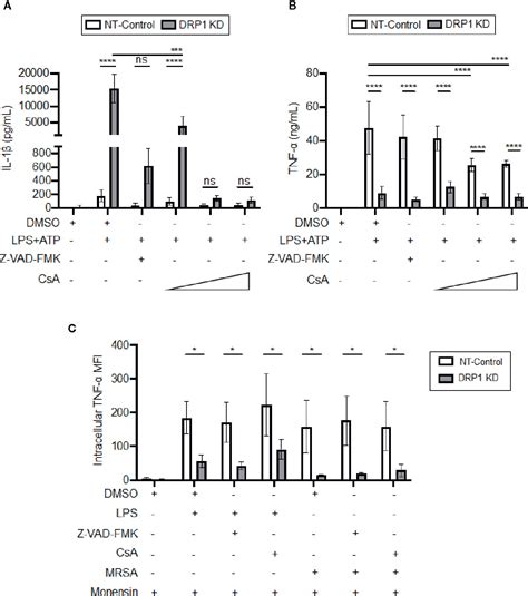 Frontiers The Mitochondrial Fission Regulator Drp1 Controls Post