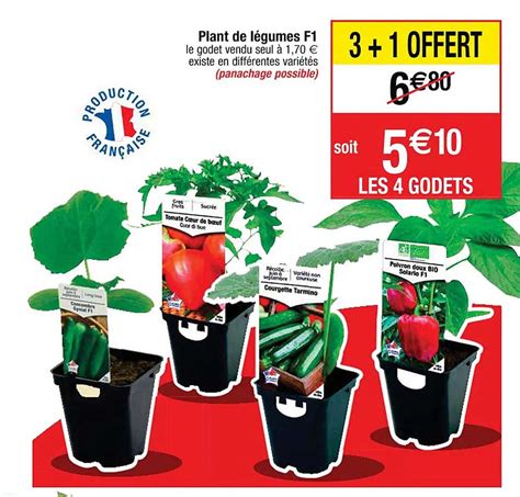 Promo Plant De L Gumes F Chez Cora Icatalogue Fr