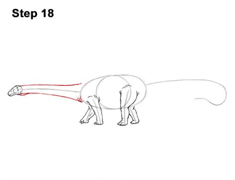 How To Draw A Diplodocus Video And Step By Step Pictures