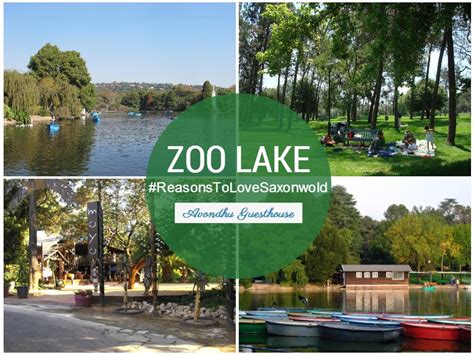 Explore (nearby) Zoo Lake | Avondhu Guest House