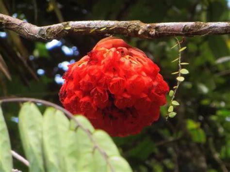 EXPLORE THE AMAZON RAINFOREST, ECUADOR [6 TOURS] | World travel guide ...