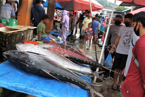 Harga Ikan Di Kendari Naik Persen Akibat Ombak Tinggi Antara Foto