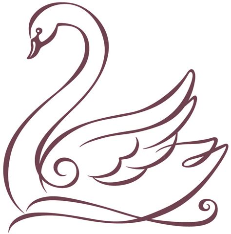 Swan Drawing Images At Getdrawings Free Download