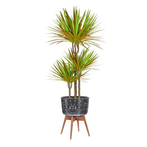 What Is A Plant Asset 5