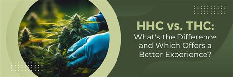 Hhc Vs Thc Whats The Difference And Which Offers A Better