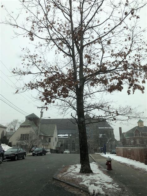 Search Lowell Sun Obituaries for Local Death Notices 1