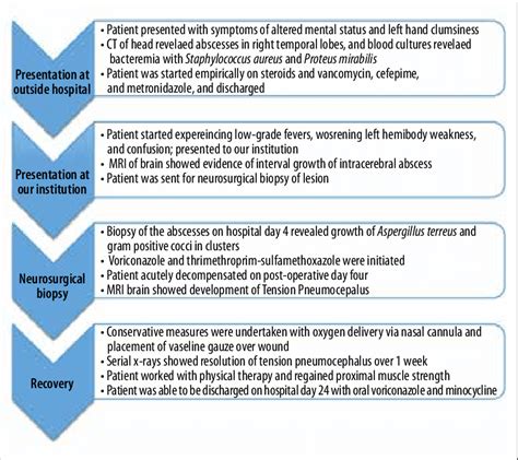 Summary of clinical course. Description of sequence of events from... | Download Scientific Diagram