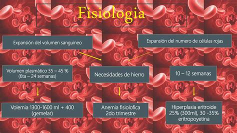 Anemia En El Embarazo Ppt Ppt Descarga Gratuita