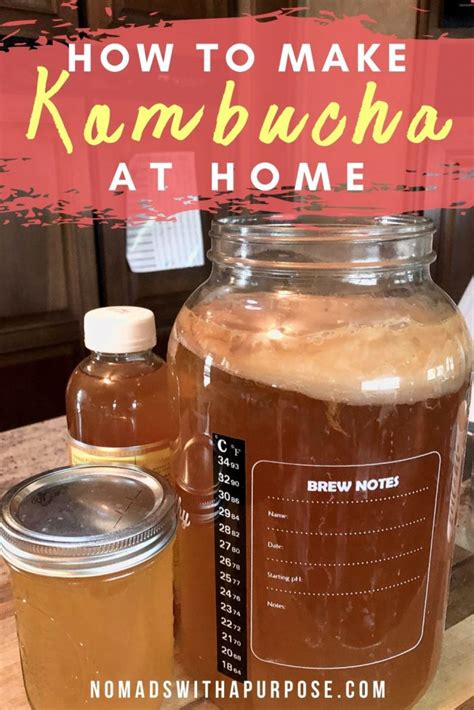 How To Make Kombucha At Home DIY Fermentation Guide Nomads With A