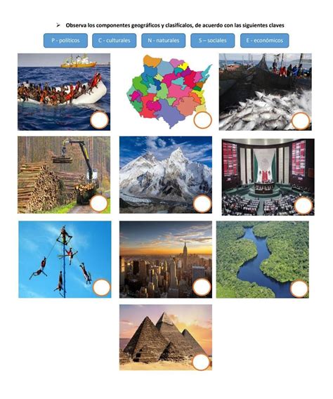 Observa Los Componentes Geogr Ficos Y Clasificalos De Acuerdo Con