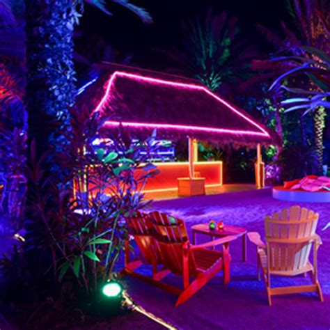 Why shoppers at shop ross stores are sharing viral haul videos 2