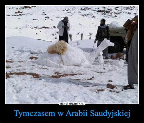 Tymczasem W Arabii Saudyjskiej Demotywatory Pl