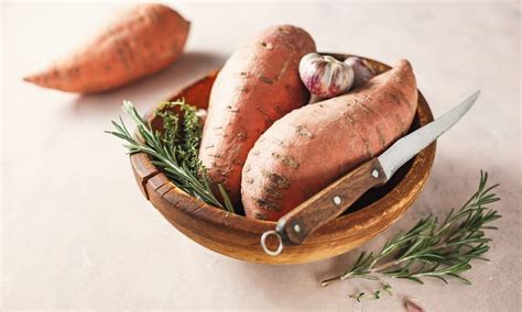 Aprenda como plantar batata doce na água Petz