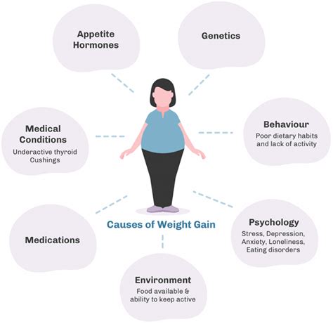 What Causes Weight Gain Alevia Medical Weight Loss