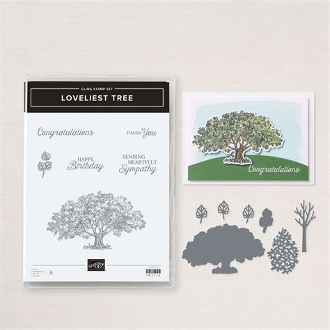 Produktpaket Loveliest Tree Aus Stempeln Und Stanzformen Von Stampin Up